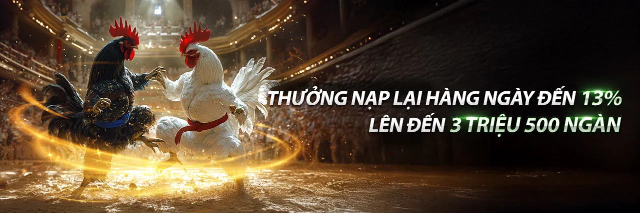 Trực tiếp Đá Gà Cloud – Sân đấu kịch tính